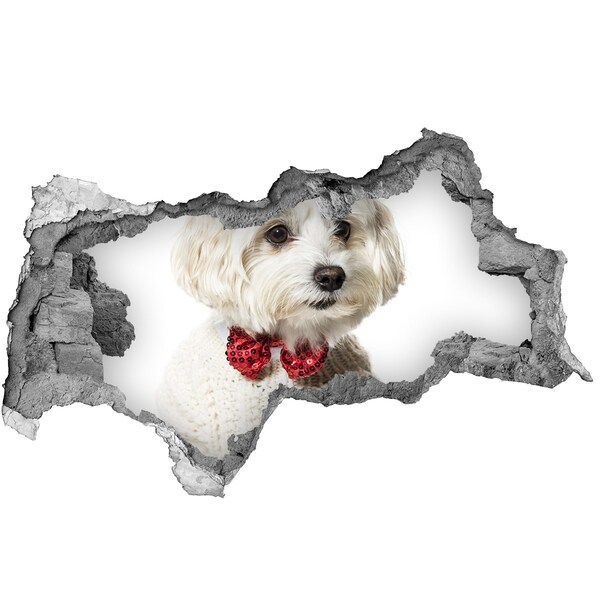 Diera 3D fototapeta Maltézsky u hlavne