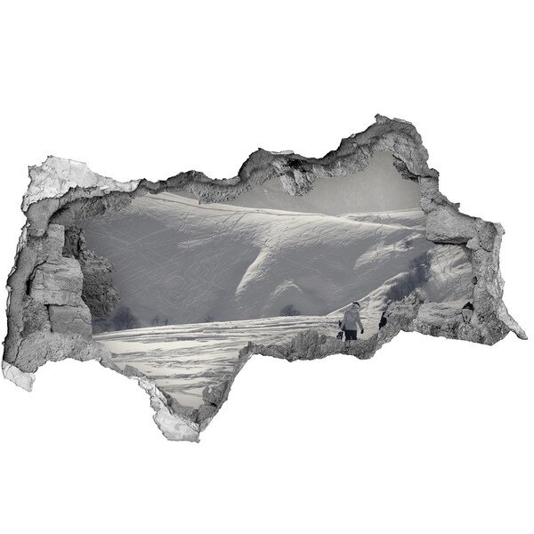 Fototapeta diera na stenu Zimná horská krajina