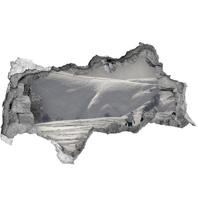 Fototapeta diera na stenu Zimná horská krajina