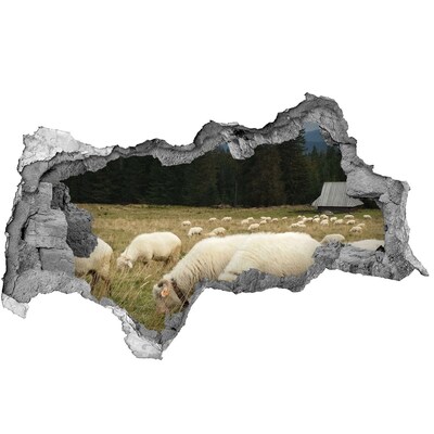 Diera 3D fototapeta nálepka Pasúce sa ovce
