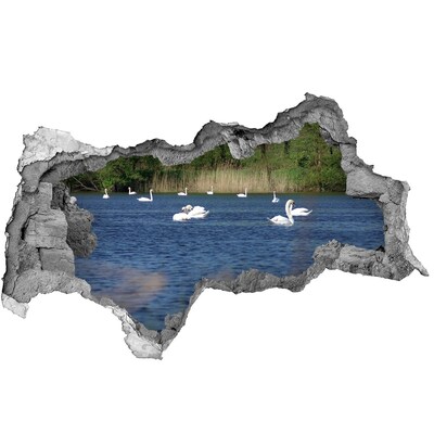 Diera 3D fototapeta nálepka Biele labute