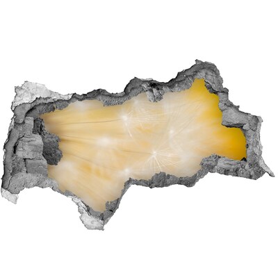 Samolepiaca nálepka na stenu Kvetinový priestor za stenou