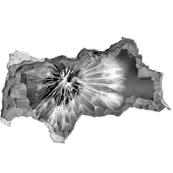 Samolepiaca nálepka na stenu Púpavy v čiernej a bielej farbe