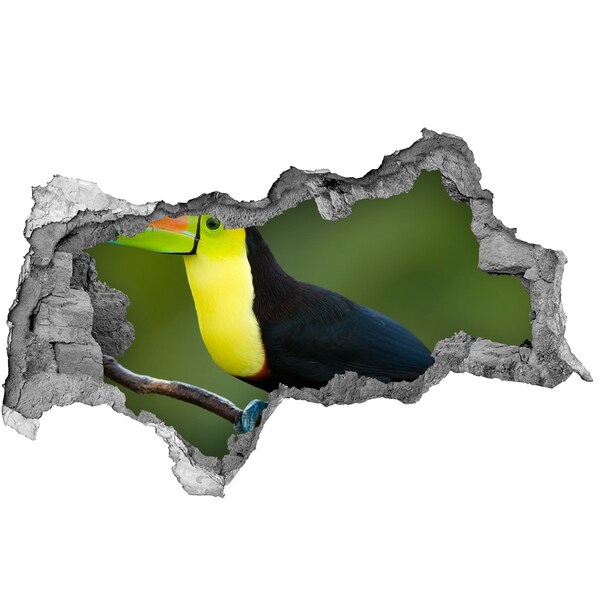 Diera 3D fototapeta na stenu nálepka Tukan
