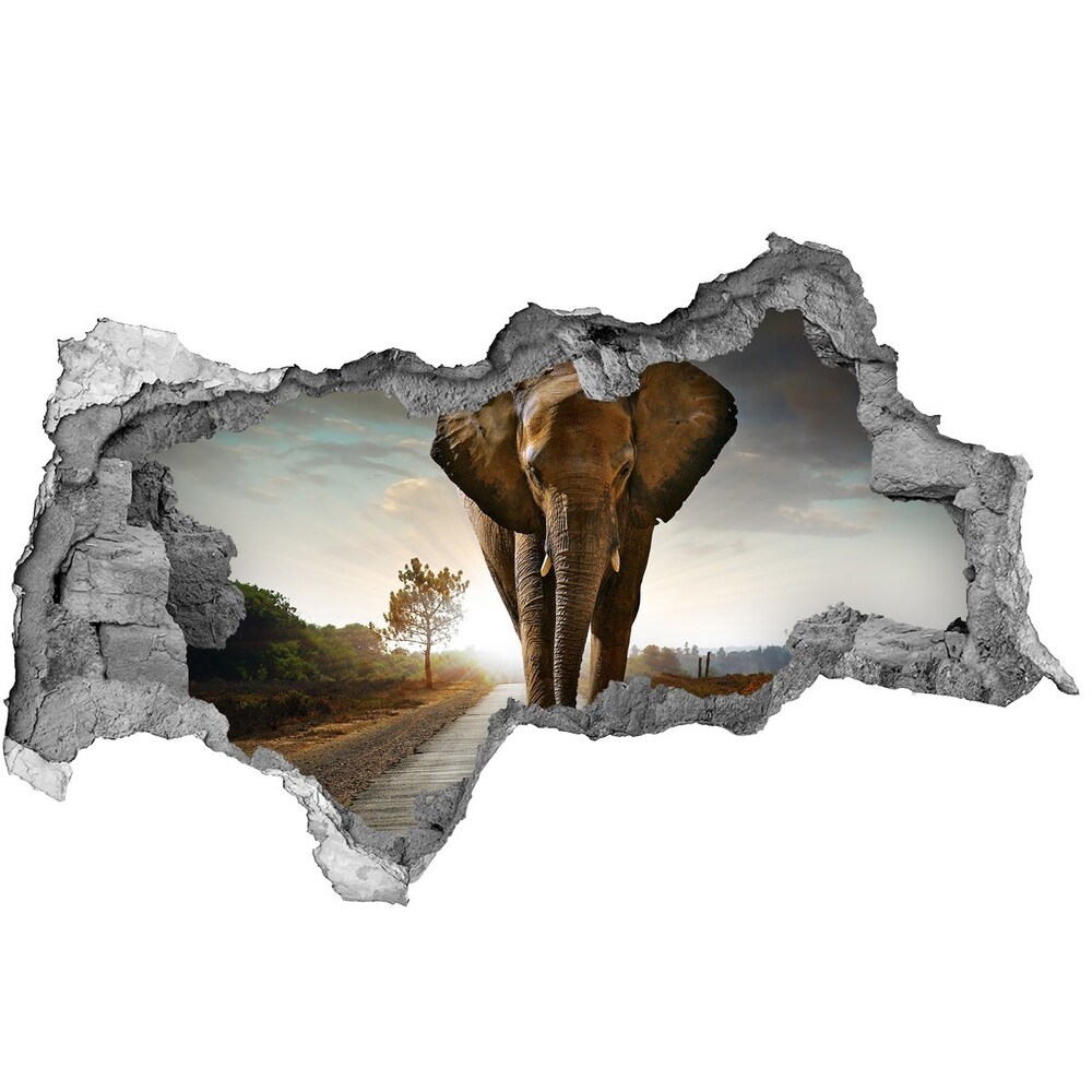 Diera 3D fototapeta na stenu Walking slon