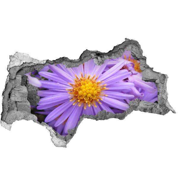 Samolepiaca nálepka na stenu fototapeta Kvet v betóne