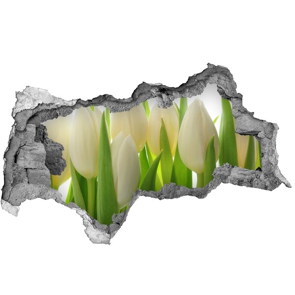 Samolepiaca nálepka fototapeta Tulipány za denného svetla