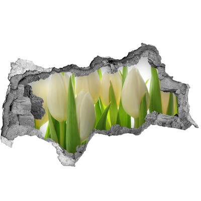 Samolepiaca nálepka fototapeta Tulipány za denného svetla