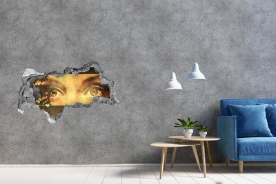 Fototapeta diera na stenu Oči a motýle