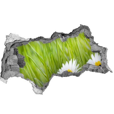 Samolepiaca nálepka fototapeta Kvet v zelenej záhrade