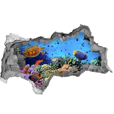 Diera 3D fototapeta nálepka Koralový útes