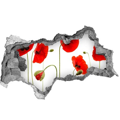 Samolepiaca nálepka fototapeta Makové kvety v diere v stene