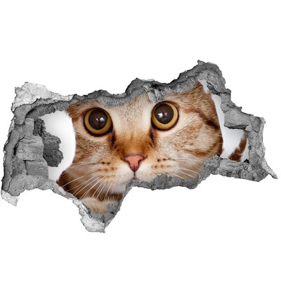 Diera 3D fototapeta nálepka Mačka