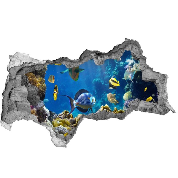 Fototapeta diera na stenu Podvodný svet koralového útesu