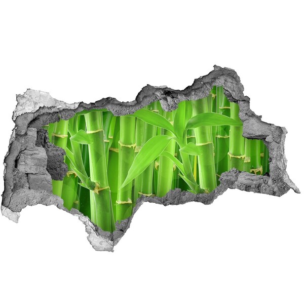 Samolepiaca nálepka fototapeta Zelený bambusový les