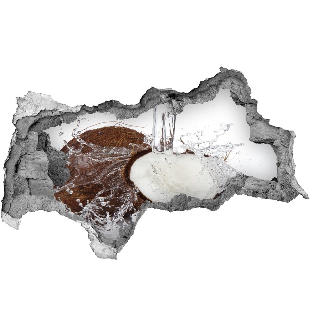 Nálepka 3D diera Kokosový orech