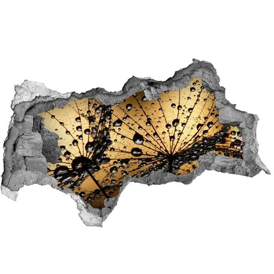 Samolepiaca nálepka na stenu Kvapky na listoch