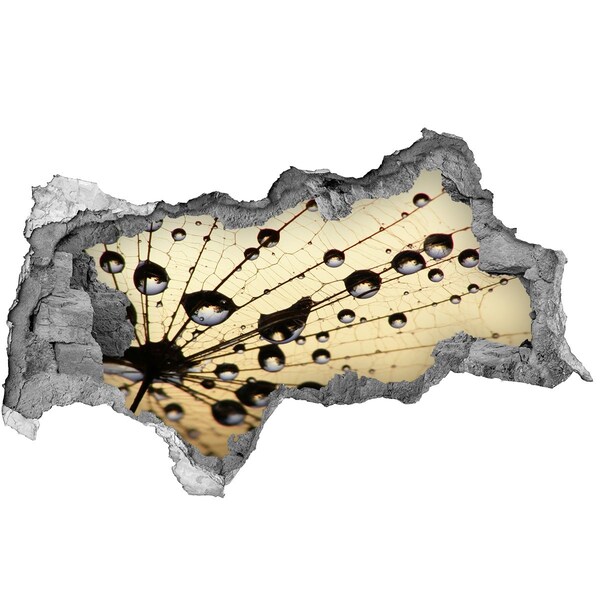 Samolepiaca nálepka Kvapky vody na motýlích krídlach