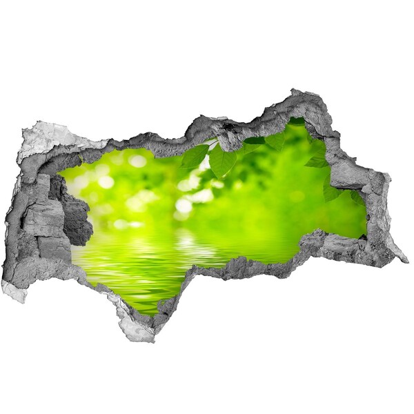 Samolepiaca nálepka na stenu Zelená oáza s vodou