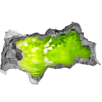 Samolepiaca nálepka na stenu Zelená oáza s vodou