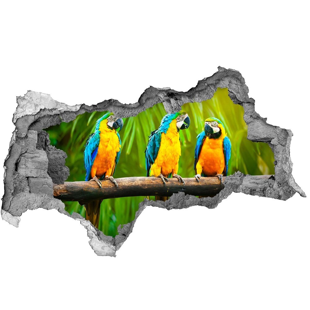 Diera 3D fototapeta na stenu Papagáje na vetve