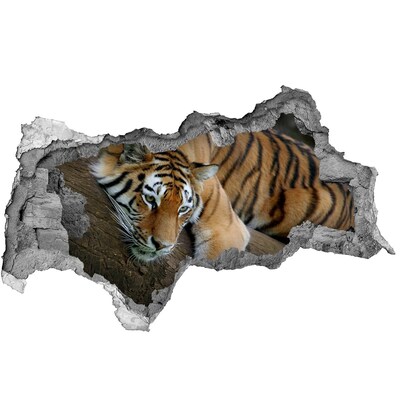 Diera 3D fototapeta nálepka Tiger v jeho prirodzenom prostredí