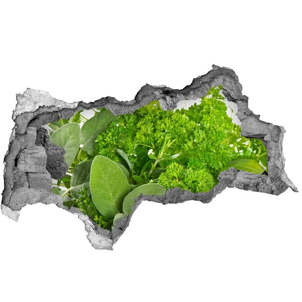 Nálepka 3D diera Zelená oáza v betóne