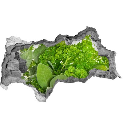 Nálepka 3D diera Zelená oáza v betóne