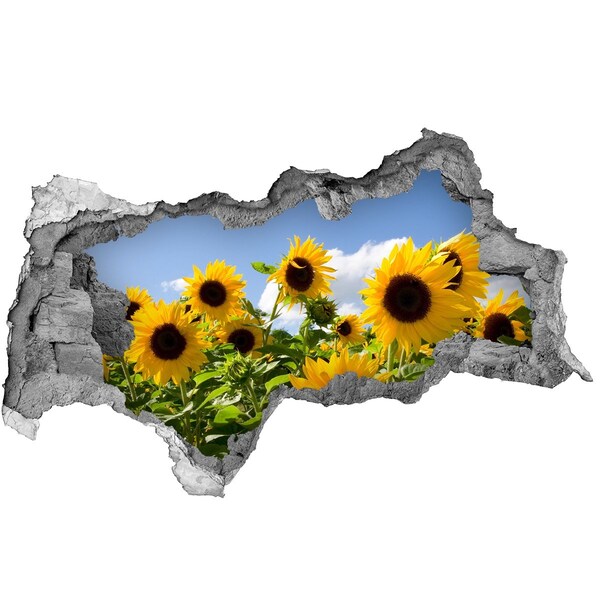 Samolepiaca nálepka fototapeta Slnečnice za denného svetla