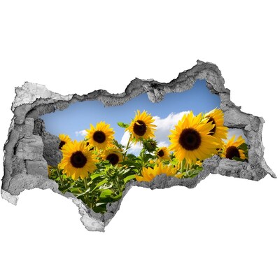 Samolepiaca nálepka fototapeta Slnečnice za denného svetla