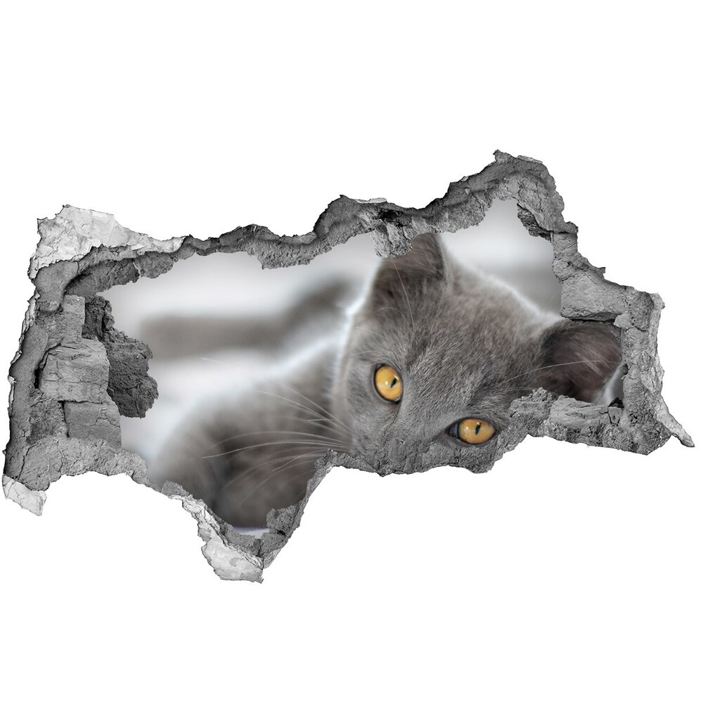 Diera 3D fototapeta nálepka Sivá mačka