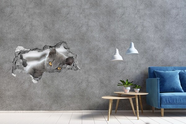 Diera 3D fototapeta nálepka Sivá mačka v diere v stene