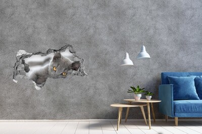 Diera 3D fototapeta nálepka Sivá mačka v diere v stene