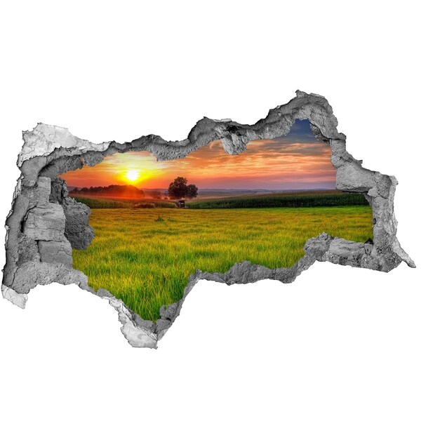 Samolepiaca diera na stenu Západ slnka nad lúkou