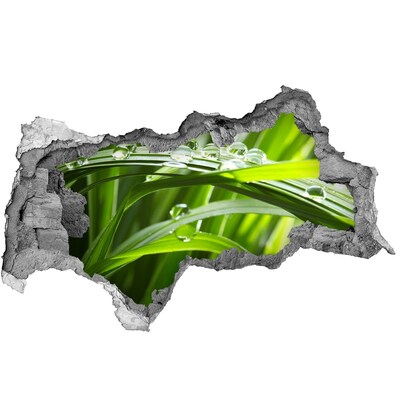 Fototapeta nálepka na stenu Zelená lúka s kvapkami vody