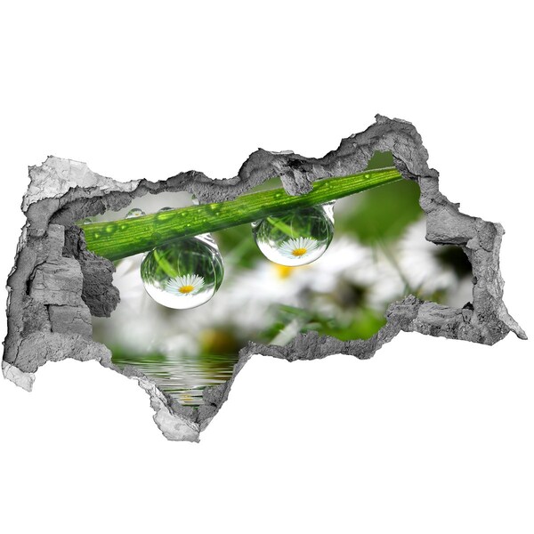 Samolepiaca diera nálepka Kvetinová oáza s kvapkami vody