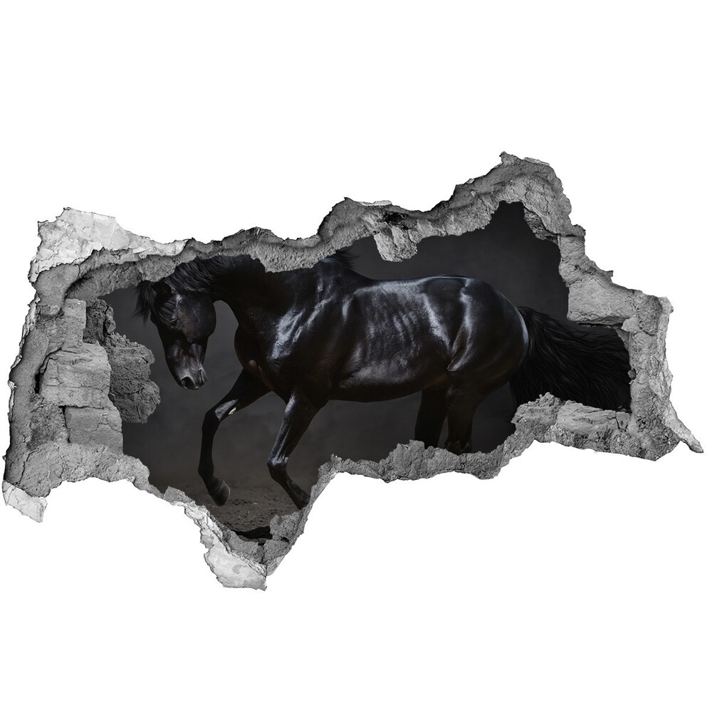 Diera 3D fototapeta na stenu Čierny kôň