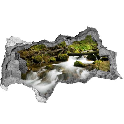 Diera 3D v stene nálepka Zelený potok v lese