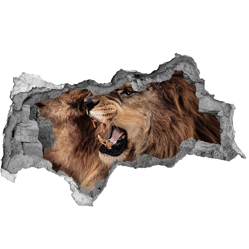 Diera 3D fototapeta na stenu Revúci levy