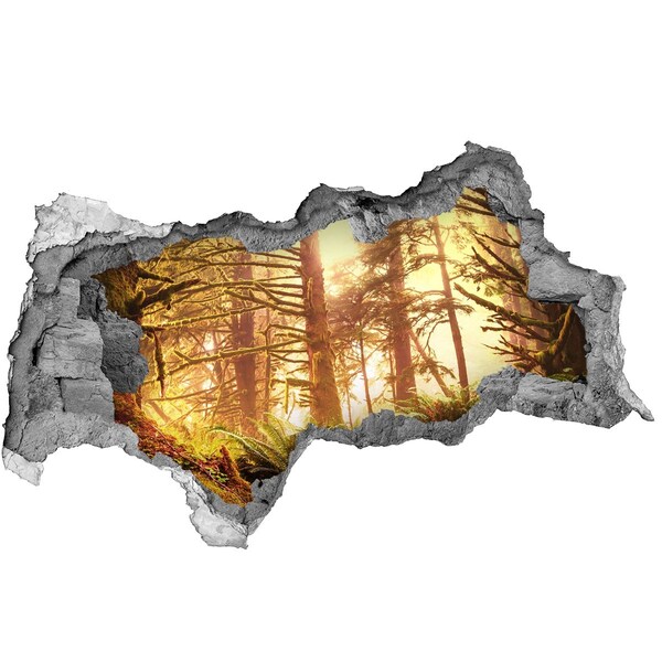 Diera 3D v stene nálepka Lesná oáza zaliata slnkom