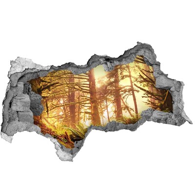 Diera 3D v stene nálepka Lesná oáza zaliata slnkom