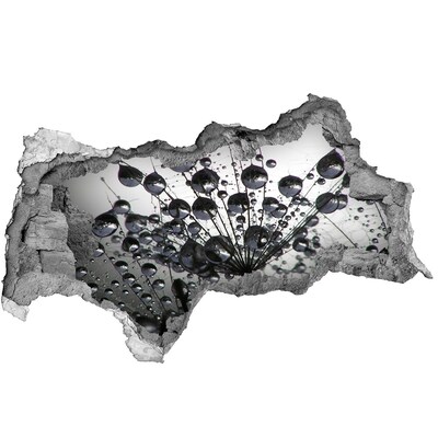 Samolepiaca diera nálepka Kvapky vody na púpave