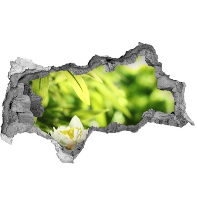 Samolepiaca diera na stenu Kvet v zelenej záhrade