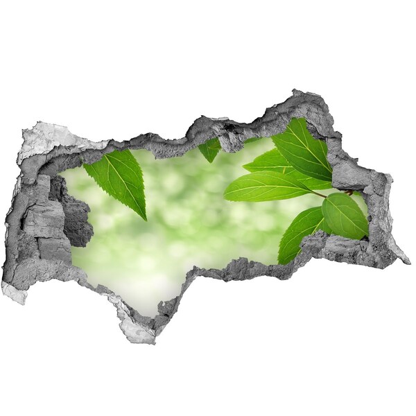 Samolepiaca diera nálepka Zelená oáza v betóne