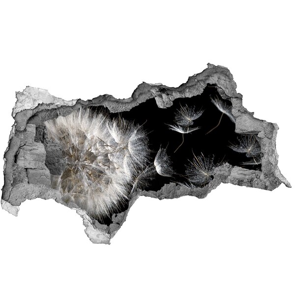 Samolepiaca diera na stenu Púpavy v čiernom priestore