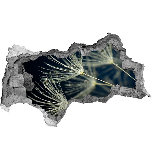 Samolepiaca diera nálepka Púpavové kvety vo vode