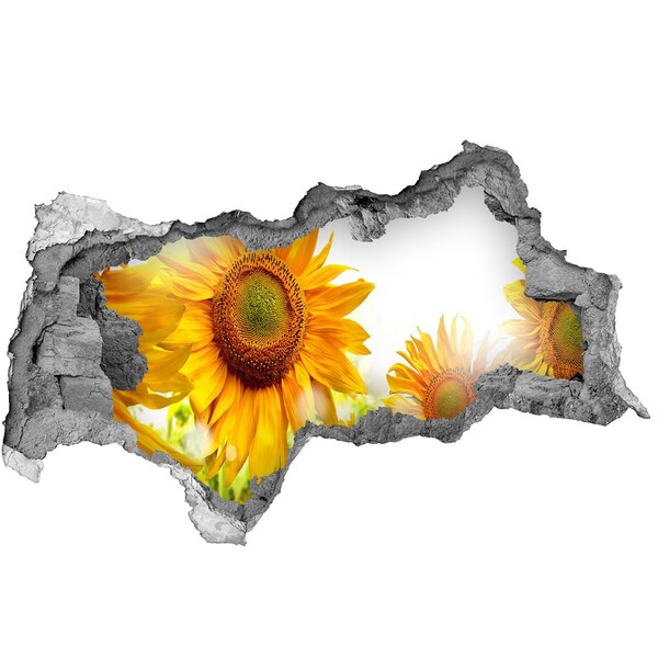 Samolepiaca diera nálepka Kvetinový sen za stenou