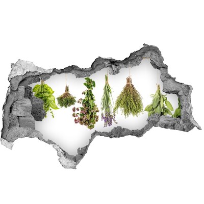 Nálepka diera na stenu betón Bylinkový kútik v kuchyni