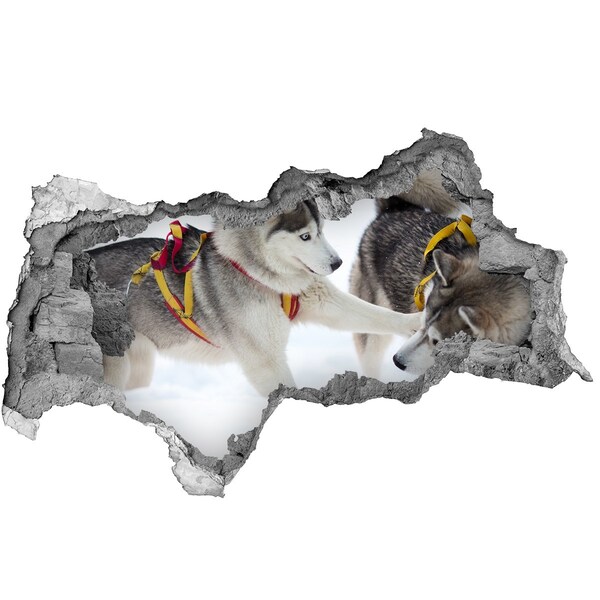 Diera 3D fototapeta na stenu Sibírske husky v akcii