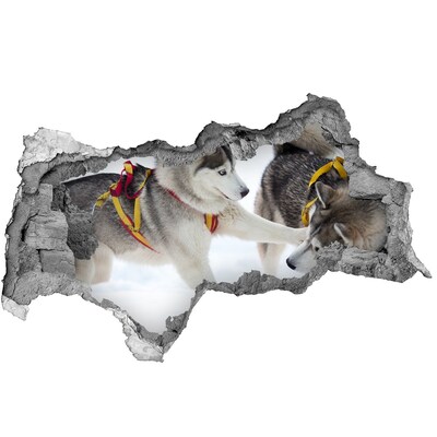 Diera 3D fototapeta na stenu Sibírske husky v akcii